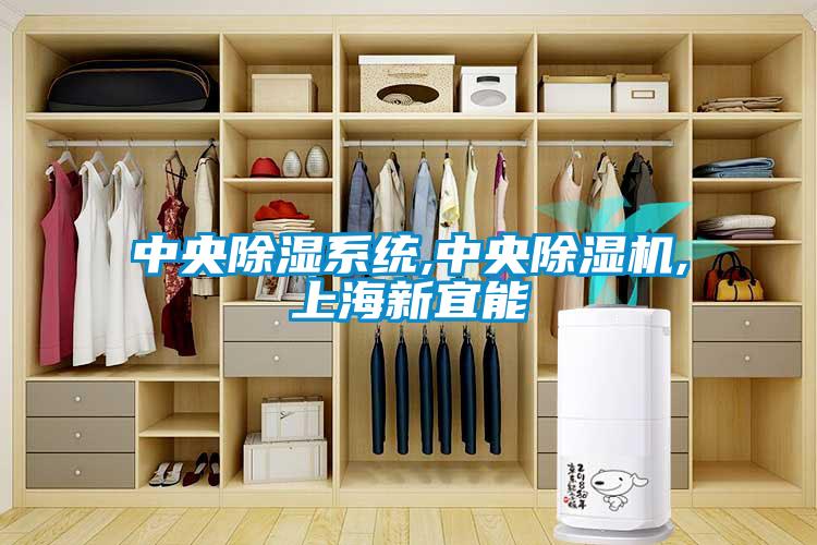 中央除濕系統,中央除濕機,上海新宜能