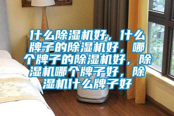什么除濕機好，什么牌子的除濕機好，哪個牌子的除濕機好，除濕機哪個牌子好，除濕機什么牌子好