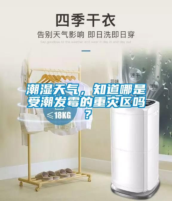 潮濕天氣，知道哪是受潮發霉的重災區嗎？