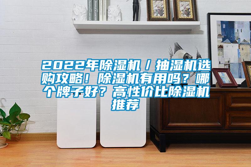 2022年除濕機／抽濕機選購攻略！除濕機有用嗎？哪個牌子好？高性價比除濕機推薦