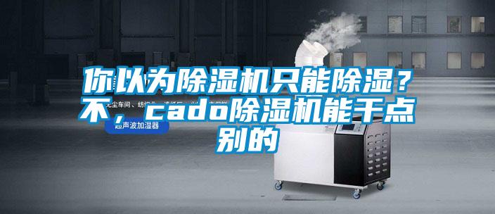 你以為除濕機只能除濕？不，cado除濕機能干點別的