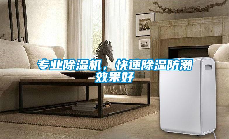 專業除濕機，快速除濕防潮效果好