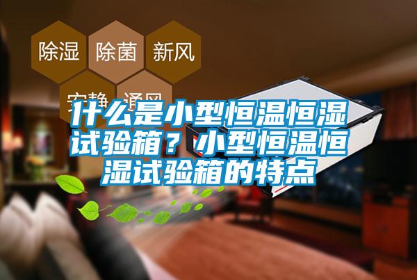 什么是小型恒溫恒濕試驗箱？小型恒溫恒濕試驗箱的特點