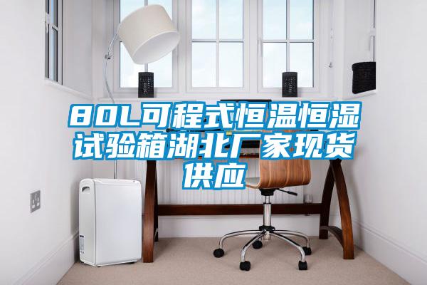 80L可程式恒溫恒濕試驗箱湖北廠家現貨供應