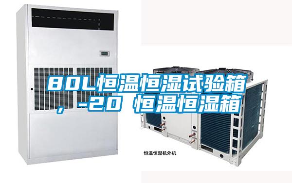 80L恒溫恒濕試驗箱，-20℃恒溫恒濕箱