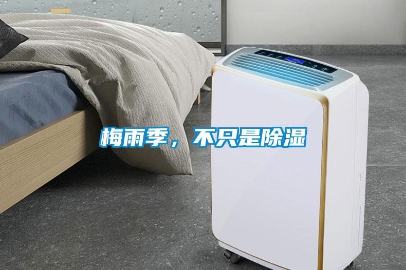 梅雨季，不只是除濕