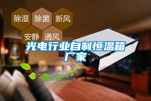 光電行業自制恒溫箱廠家