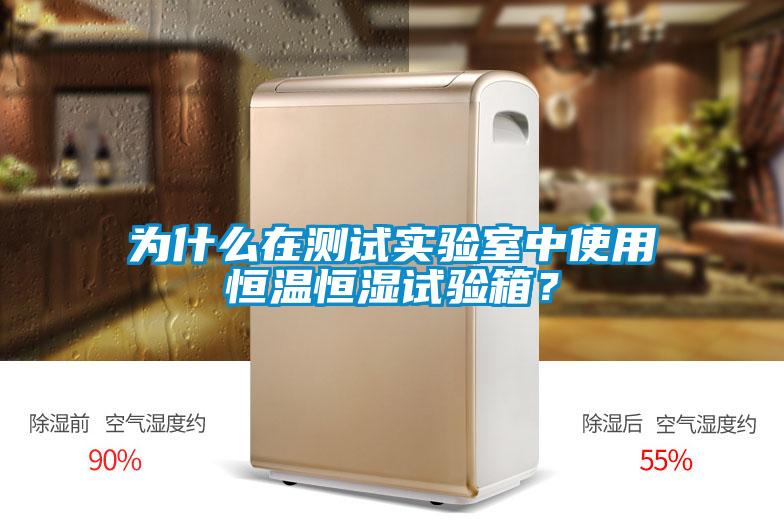 為什么在測試實驗室中使用恒溫恒濕試驗箱？