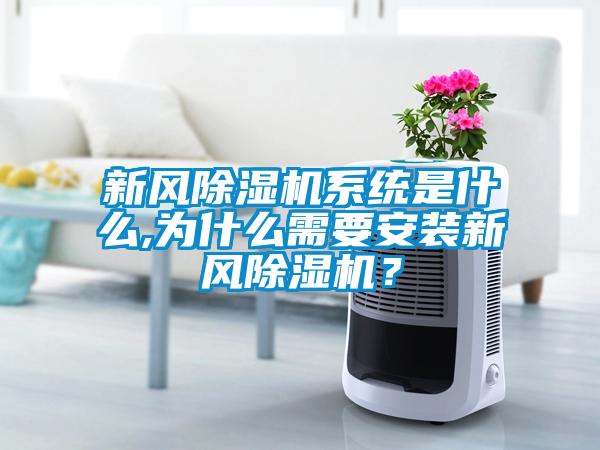 新風除濕機系統是什么,為什么需要安裝新風除濕機？