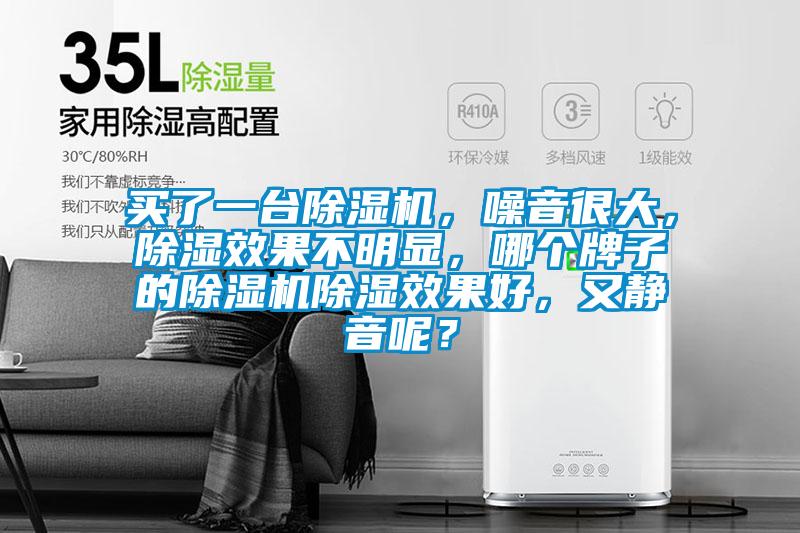 買了一臺除濕機，噪音很大，除濕效果不明顯，哪個牌子的除濕機除濕效果好，又靜音呢？