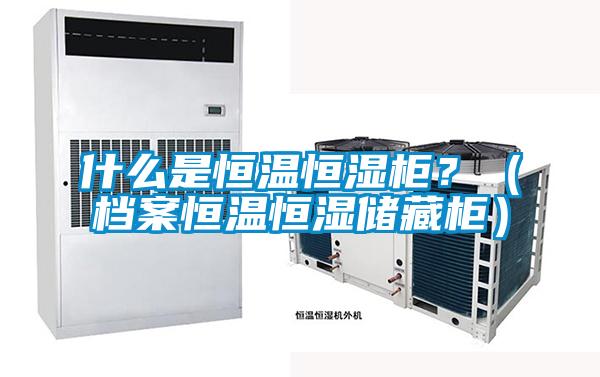 什么是恒溫恒濕柜？（檔案恒溫恒濕儲藏柜）