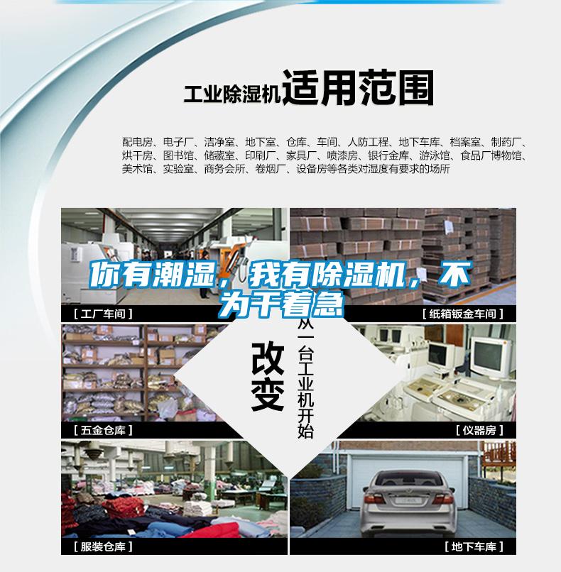 你有潮濕，我有除濕機，不為干著急