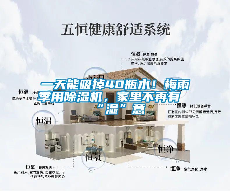 一天能吸掉40瓶水！梅雨季用除濕機，家里不再有“濕”意