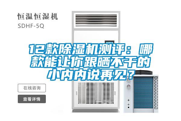 12款除濕機測評：哪款能讓你跟曬不干的小內內說再見？