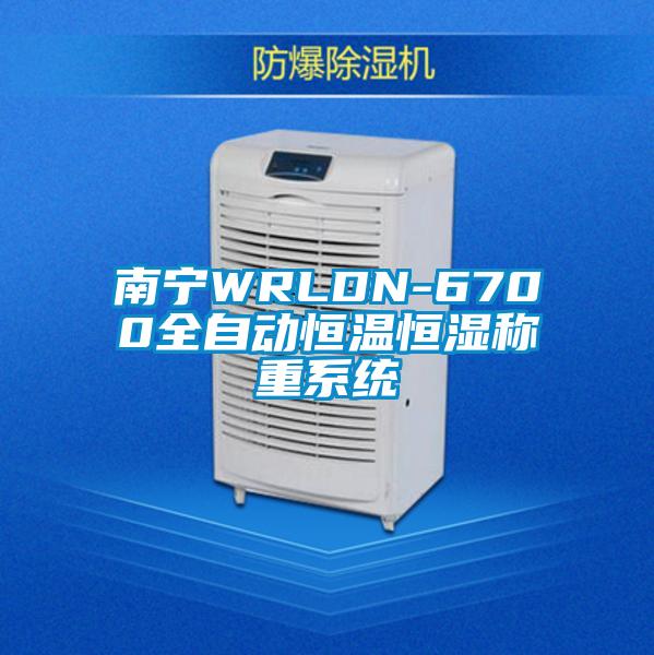 南寧WRLDN-6700全自動恒溫恒濕稱重系統