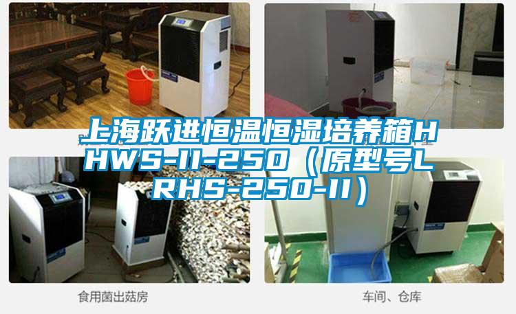 上海躍進恒溫恒濕培養箱HHWS-II-250（原型號LRHS-250-II）