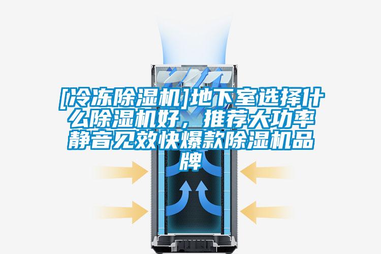 [冷凍除濕機]地下室選擇什么除濕機好，推薦大功率靜音見效快爆款除濕機品牌