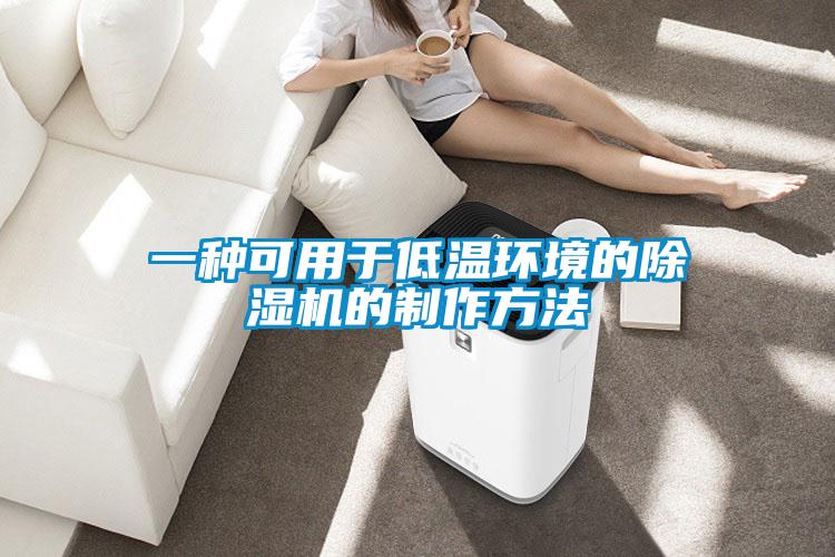 一種可用于低溫環境的除濕機的制作方法
