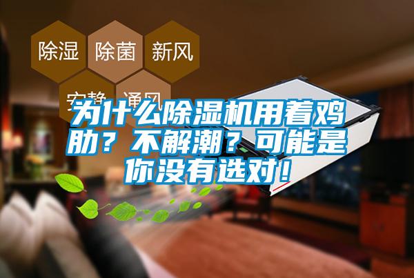 為什么除濕機用著雞肋？不解潮？可能是你沒有選對！