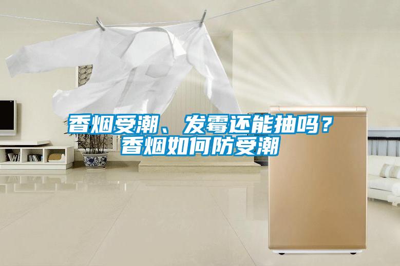 香煙受潮、發霉還能抽嗎？香煙如何防受潮