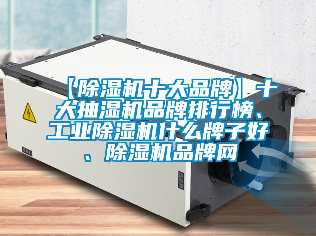 【除濕機十大品牌】十大抽濕機品牌排行榜、工業除濕機什么牌子好、除濕機品牌網