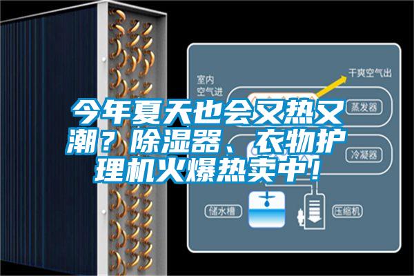 今年夏天也會又熱又潮？除濕器、衣物護理機火爆熱賣中！