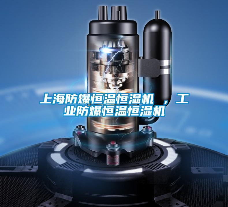 上海防爆恒溫恒濕機 ，工業防爆恒溫恒濕機