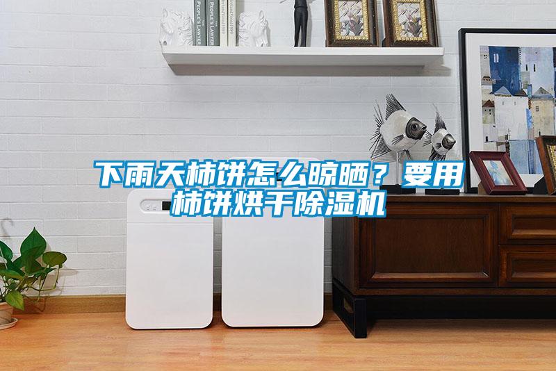 下雨天柿餅怎么晾曬？要用柿餅烘干除濕機