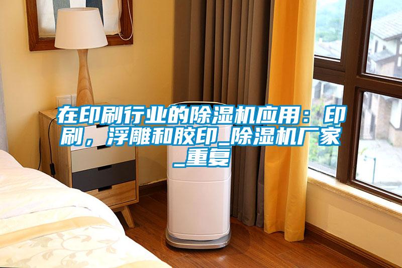 在印刷行業的除濕機應用：印刷，浮雕和膠印_除濕機廠家_重復
