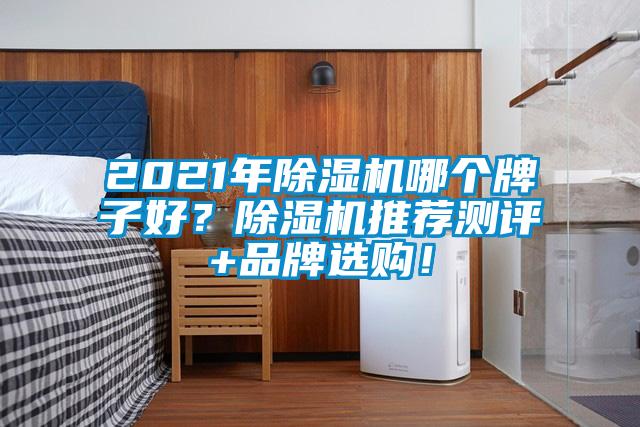 2021年除濕機哪個牌子好？除濕機推薦測評+品牌選購！