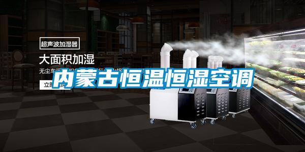 內蒙古恒溫恒濕空調