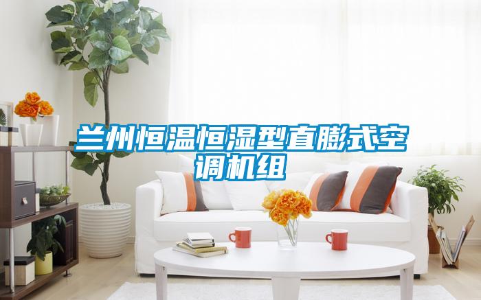 蘭州恒溫恒濕型直膨式空調機組