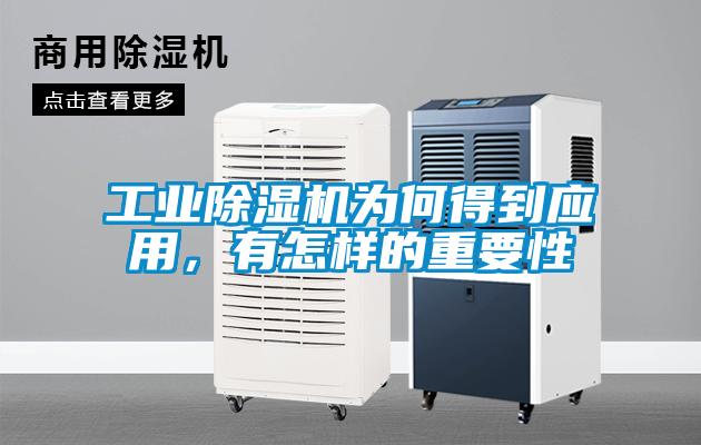 工業除濕機為何得到應用，有怎樣的重要性