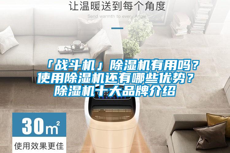 「戰斗機」除濕機有用嗎？使用除濕機還有哪些優勢？除濕機十大品牌介紹
