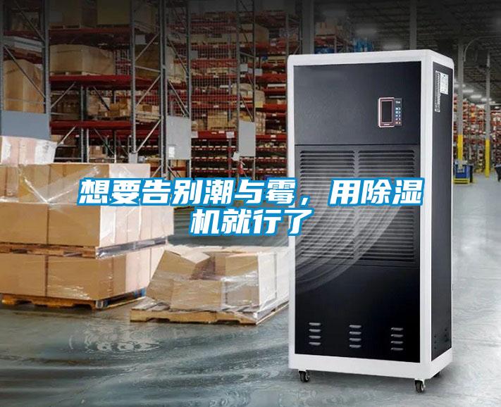 想要告別潮與霉，用除濕機就行了