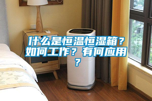什么是恒溫恒濕箱？如何工作？有何應用？