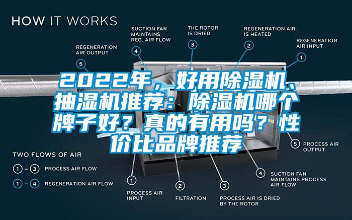 2022年，好用除濕機、抽濕機推薦：除濕機哪個牌子好？真的有用嗎？性價比品牌推薦