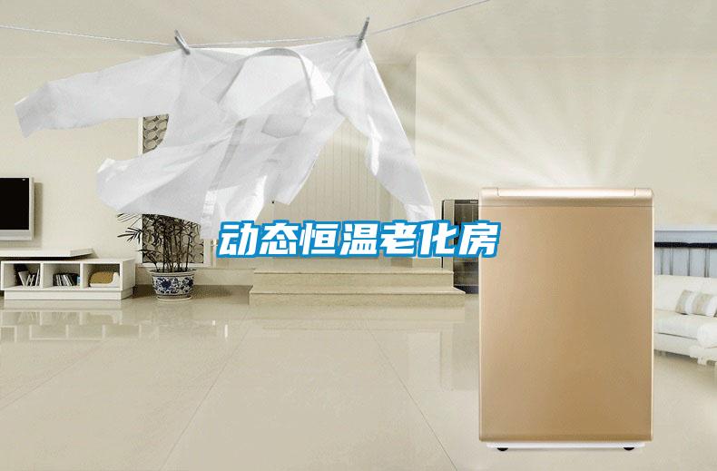 動態恒溫老化房