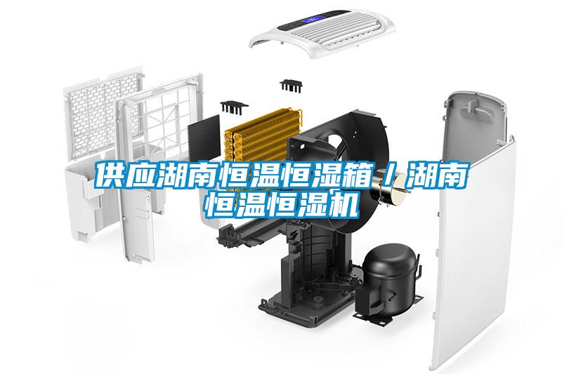 供應湖南恒溫恒濕箱／湖南恒溫恒濕機