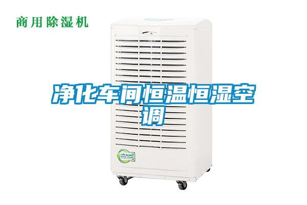 凈化車間恒溫恒濕空調