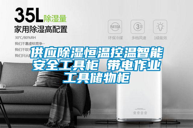 供應除濕恒溫控溫智能安全工具柜 帶電作業工具儲物柜