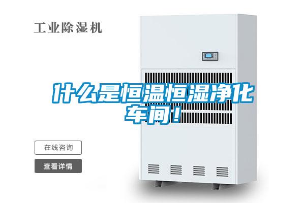什么是恒溫恒濕凈化車間！