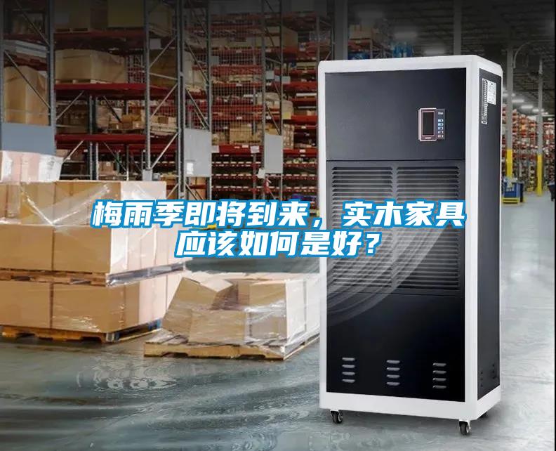 梅雨季即將到來，實木家具應該如何是好？