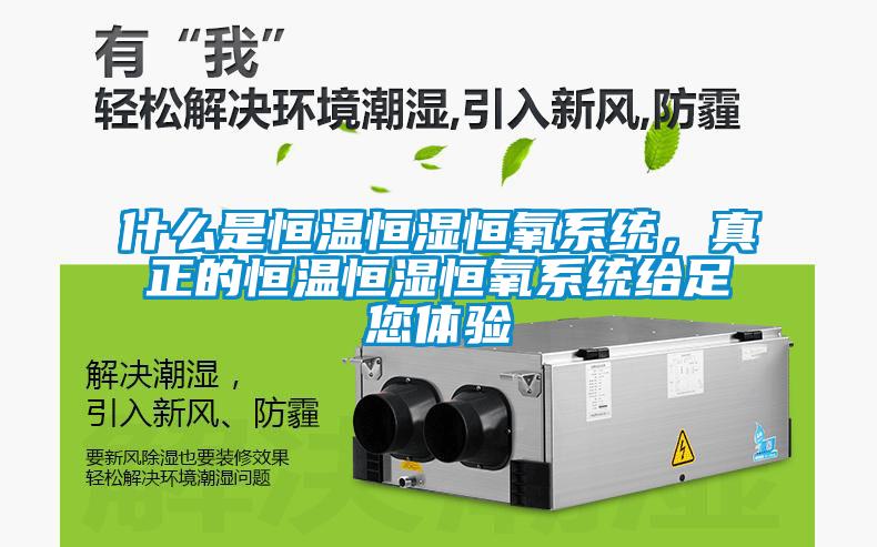 什么是恒溫恒濕恒氧系統，真正的恒溫恒濕恒氧系統給足您體驗