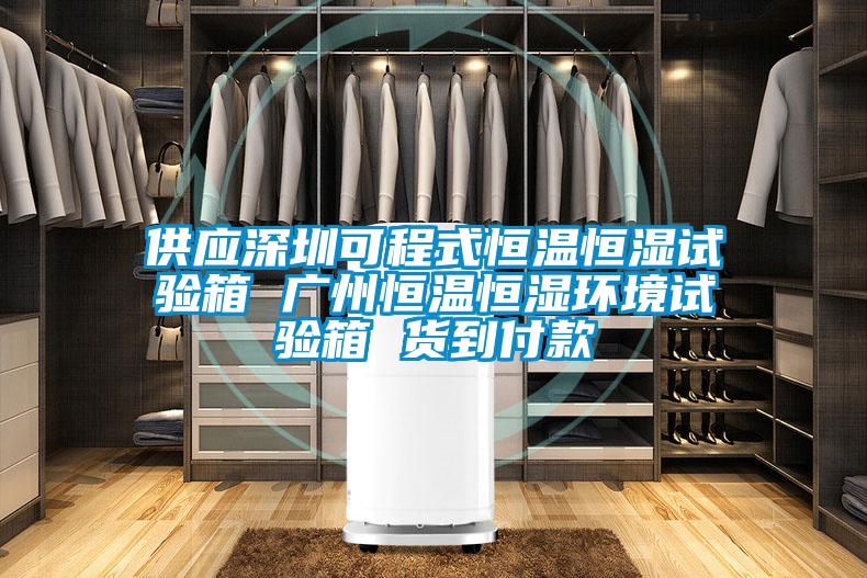 供應深圳可程式恒溫恒濕試驗箱 廣州恒溫恒濕環境試驗箱 貨到付款