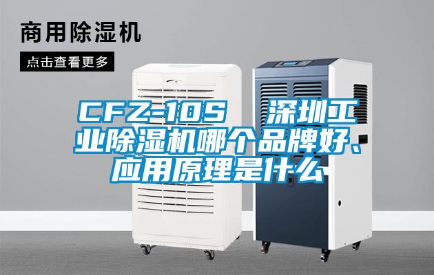 CFZ-10S  深圳工業除濕機哪個品牌好、應用原理是什么