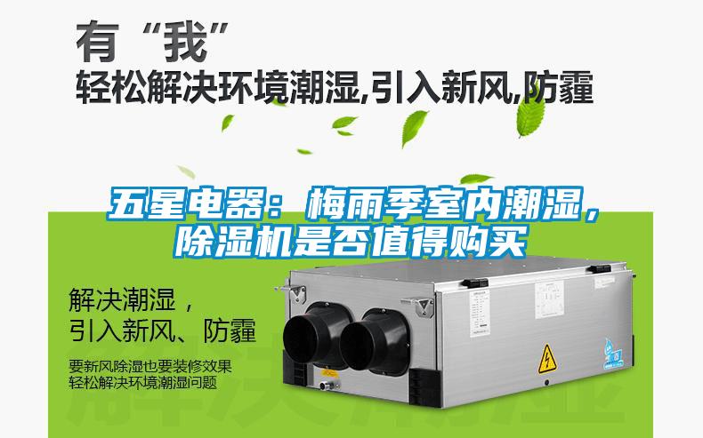 五星電器：梅雨季室內潮濕，除濕機是否值得購買