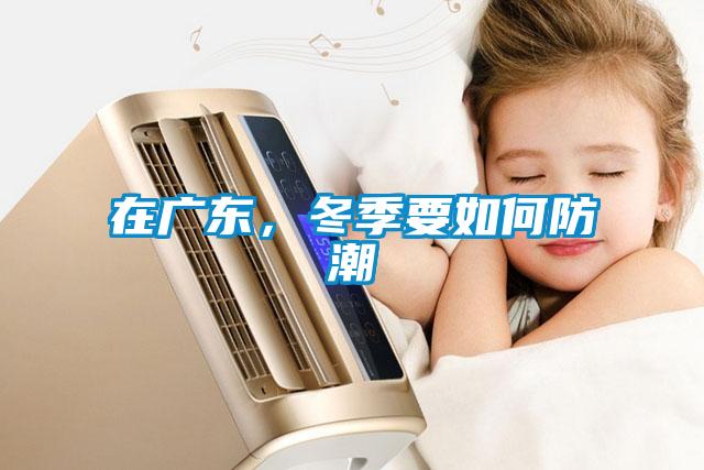 在廣東，冬季要如何防潮