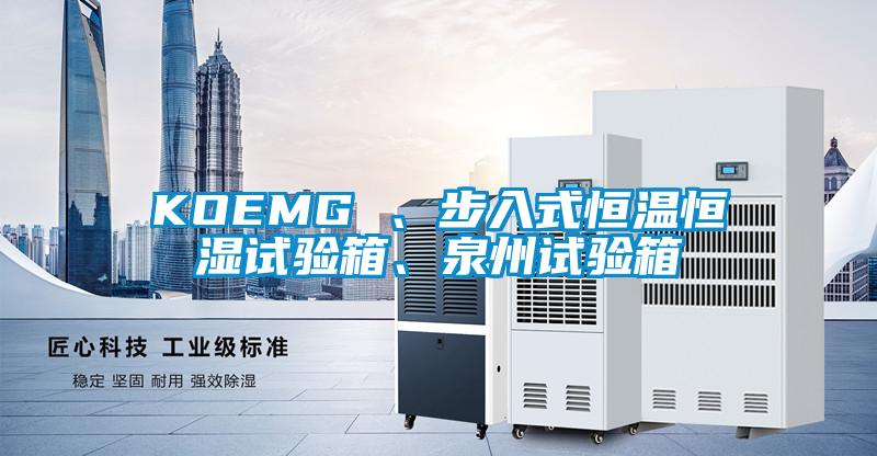 KOEMG 、步入式恒溫恒濕試驗箱、泉州試驗箱
