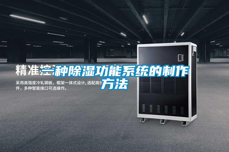 一種除濕功能系統的制作方法